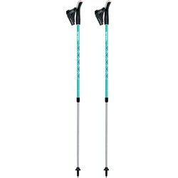 Kije nordic walking Ritmo Gabel