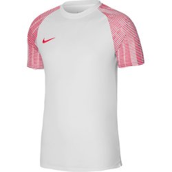 Koszulka męska Dri-Fit Academy Jersey SS Nike