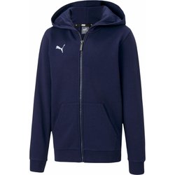 Bluza juniorska TeamGoal 23 Puma