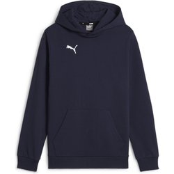 Bluza juniorska TeamGOAL Casuals Hoody Jr Puma