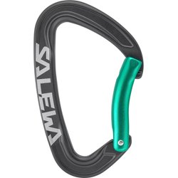 Karabinek Ortles Bent Salewa