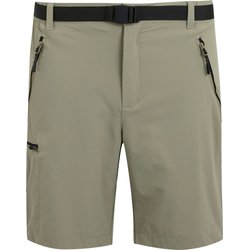 Spodenki trekkingowe męskie Xert III Regatta