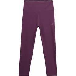 Legginsy damskie 4FSS23TFTIF122 4F