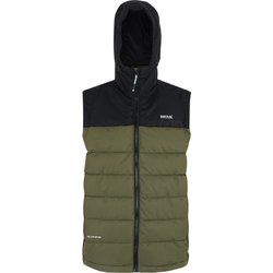 Kamizelka puchowa męska Aldthorn Regatta