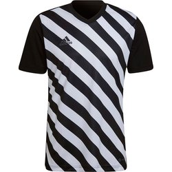 Koszulka męska Entrada 22 Graphic Adidas