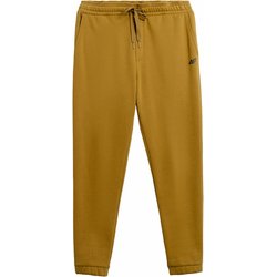 Spodnie dresowe męskie 4FAW23TTROM517 4F