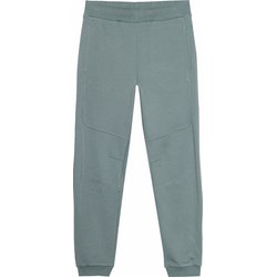 Spodnie dresowe męskie 4FWSS24TTROM645 4F