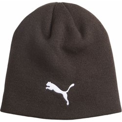 Czapka IndividualWinterized Tech Puma