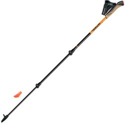 Kije nordic walking Carbon XT 3S 100 FL Gabel