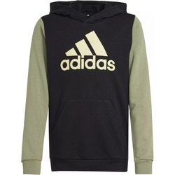Bluza juniorska Essentials Big Logo Colorblock Adidas