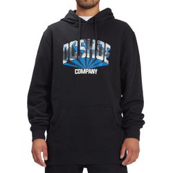 Bluza męska Blabac Jahmir Brown DC Shoes