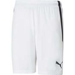 Spodenki męskie Team Liga Puma
