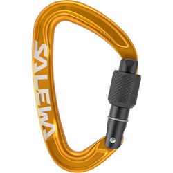Karabinek Ortles Screw Salewa