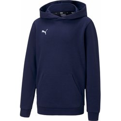Bluza juniorska teamGOAL 23 Casuals Hoody Puma