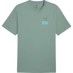 Koszulka męska Road To Unity Values Graphic Puma