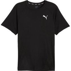 Koszulka męska Train All Day Tee Puma