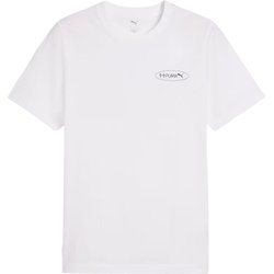 Koszulka męska Graphics 3 Circles Puma