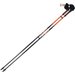 Kije do nordic walking Physique 0.5 Masters
