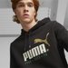 Bluza męska No. 1 Logo Celebration Puma