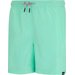 Spodenki kąpielowe męskie Mackleyna Regatta - ice green