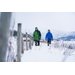 Buty trekkingowe Rush Polar GTX Scarpa