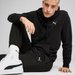 Spodnie dresowe męskie Essentials Woven Pants Puma