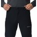 Spodnie trekkingowe męskie Triple Canyon II EUR Columbia - black
