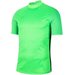 Koszulka bramkarska męska Gardien III Nike - zielona