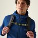 Softshell męski Ossek Regatta - aviator blue