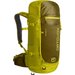 Plecak Traverse 40L Ortovox - dirty daisy