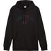 Bluza męska Ess+ Logo Lab Gradient Hoodie FL Puma - czarny