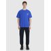 Koszulka męska TTSHM1979 4F - kobalt