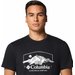 Koszulka męska Path Lake Graphic Tee Columbia - Black/Brush With Nature