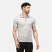 Koszulka męska polo Remex II Regatta - silver grey