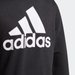 Bluza chłopięca Essentials Full-Zip Hoodie Adidas