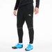 Spodnie dresowe męskie TeamGoal Training Puma