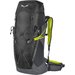 Plecak Alp Trainer 35+3L Salewa - black