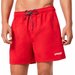 Spodenki plażowe męskie Beachshort Oakley - red line