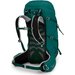 Plecak Tempest 34L Osprey - Jasper Green