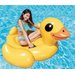 Dmuchana kaczka 147x147x81cm Intex