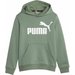 Bluza juniorska Essentials Big Logo Hooded Puma - zielony