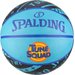 Piłka do koszykówki Space Jam Tune Squad 7 Spalding