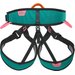 Uprząż wspinaczkowa Explorer Climbing Technology - green/pink