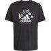 Koszulka męska Graphic Tee Adidas