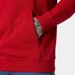 Bluza męska Core Graphic Sweat Hoodie Helly Hansen - red