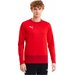 Bluza męska teamGOAL 23 Training Sweat Puma - czerwona