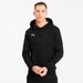 Bluza męska teamGOAL 23 Hoodie Puma - czarny