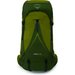 Plecak Atmos AG LT 65L Osprey - Scenic V./Green P.