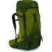 Plecak Atmos AG LT 65L Osprey - Scenic V./Green P.