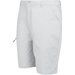 Spodenki męskie Dalry Regatta - Silver Grey